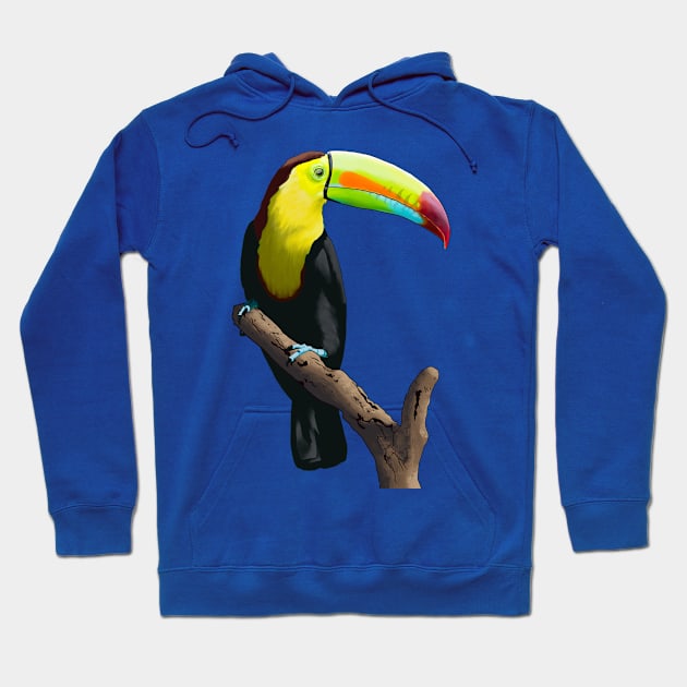 Keel Billed Toucan Hoodie by ziafrazier